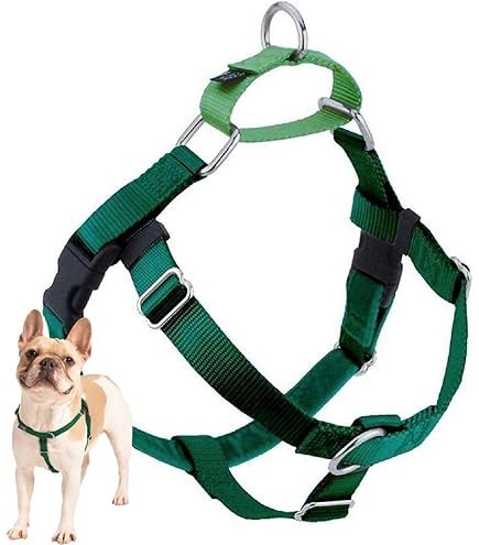 首輪・ハーネス・リード NEIGHBORHOOD DOG HARNESS 71+Lk9FKl0L._UF350,350_QL50_.jpg